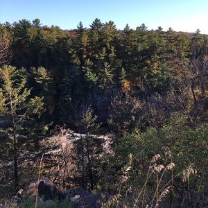 Meet your Posher, Carol